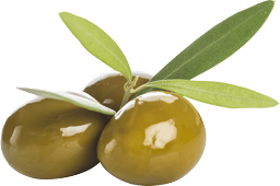 olive verdi con foglie