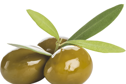 olive verdi con foglie